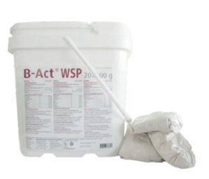 B-Act WSP