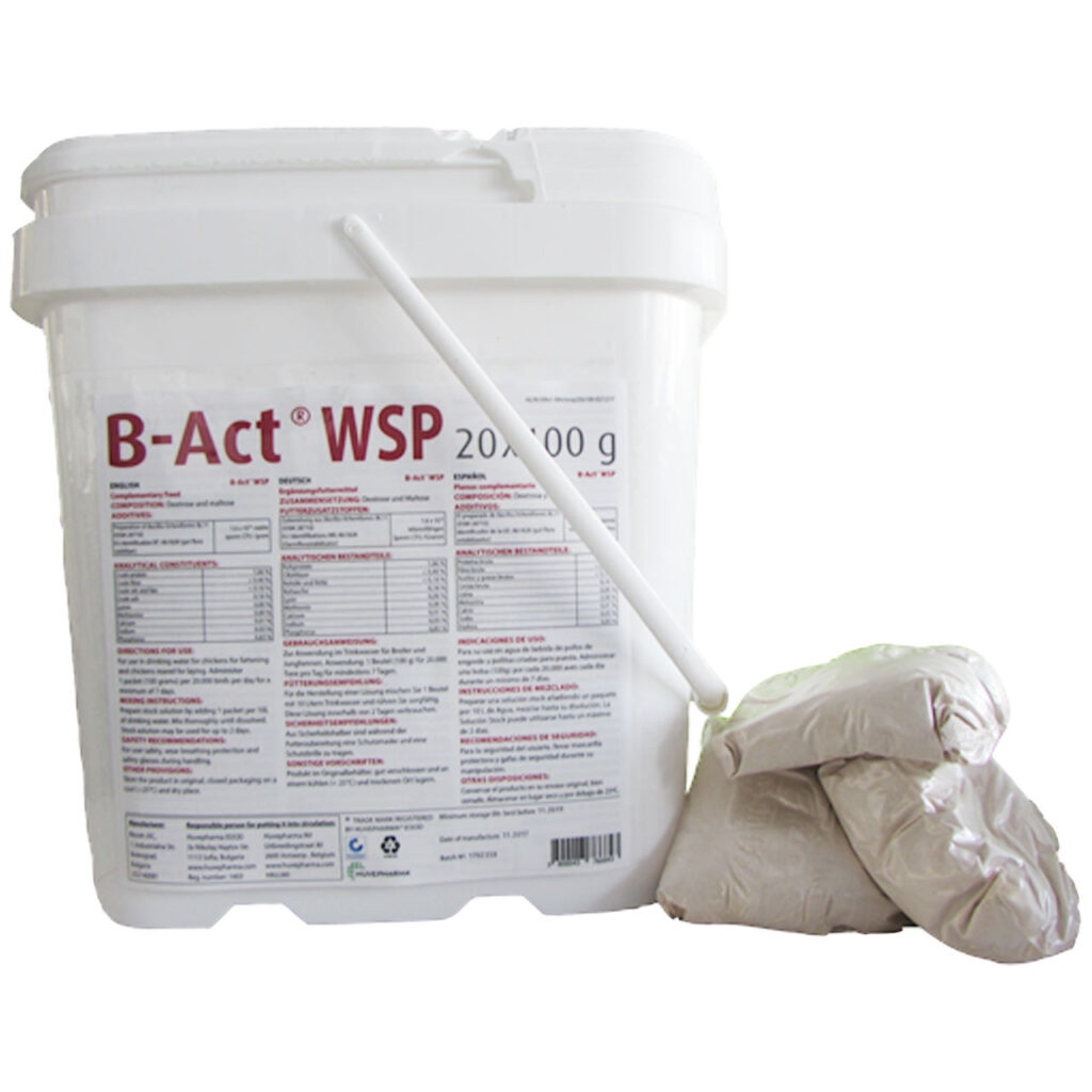 B-Act WSP | TTV HCM