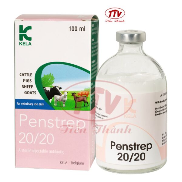 Penstrep 20/20 Inj