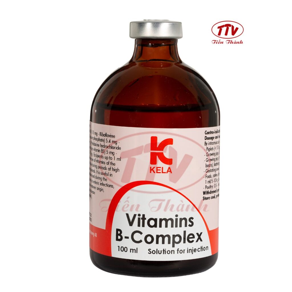 vitamin-b-complex-ttv-hcm